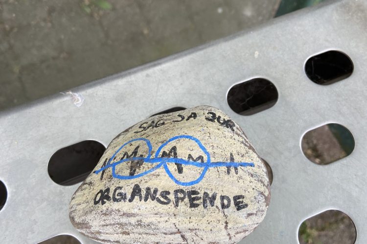 Kleine Steine, große Botschaft — Unsere Aktion zur Organspende